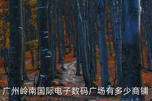 廣州嶺南國際電子數(shù)碼廣場有多少商鋪