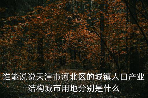 誰能說說天津市河北區的城鎮人口產業結構城市用地分別是什么