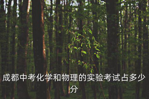 成都中考化學和物理的實驗考試占多少分