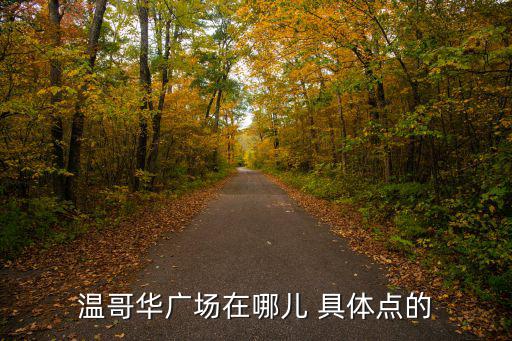 溫哥華廣場在哪兒 具體點的