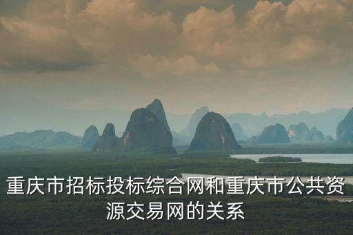 重慶市招標投標綜合網和重慶市公共資源交易網的關系