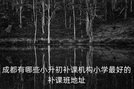 成都有哪些小升初補課機構小學最好的補課班地址