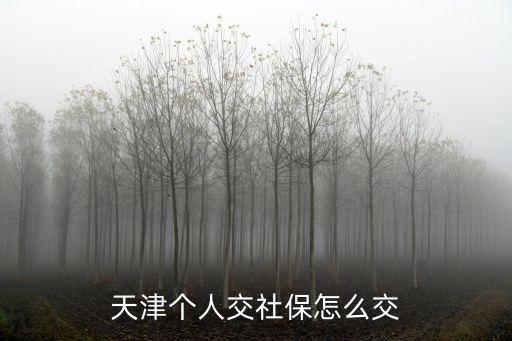 天津市社會保險如何辦理，天津個人交社保怎么交