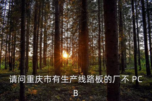 重慶市永川區(qū)藤藝科技有限公司，重慶永川pcb廠有哪些