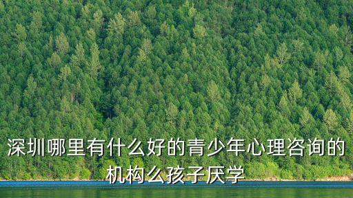 深圳哪里有什么好的青少年心理咨詢的機(jī)構(gòu)么孩子厭學(xué)