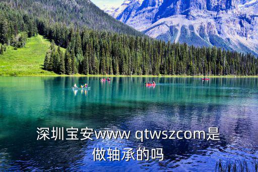 深圳寶安www qtwszcom是做軸承的嗎