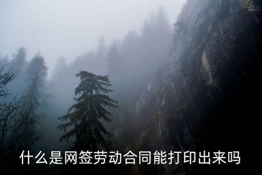 什么是網簽勞動合同能打印出來嗎