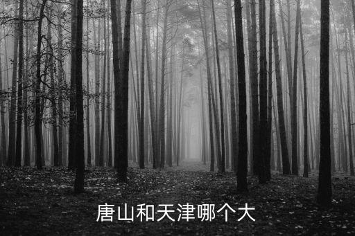 唐山和天津哪個大