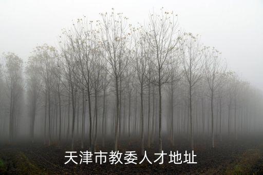 天津市教委人才地址