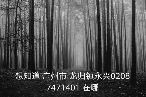 廣州市白云區龍歸永興村十四社，覺得優尚的發乳效果非常好想買是廣州生產的廣州市白云龍歸