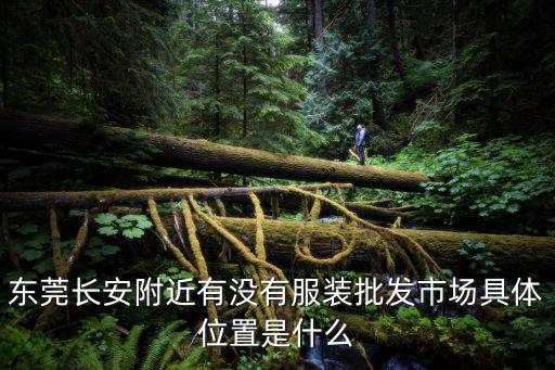 東莞長安附近有沒有服裝批發市場具體位置是什么