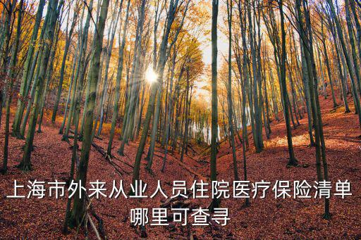 上海市外來從業人員住院醫療保險清單哪里可查尋