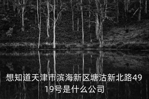 想知道天津市濱海新區塘沽新北路4919號是什么公司