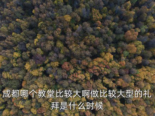 成都哪個教堂比較大啊做比較大型的禮拜是什么時候