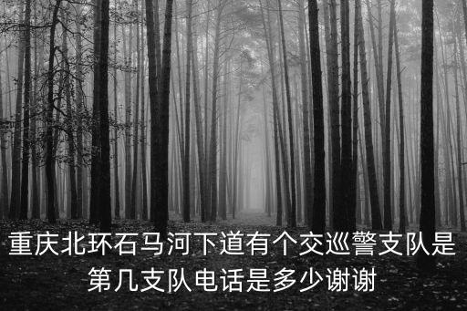 重慶市萬盛區交警大隊電話，重慶北環石馬河下道有個交巡警支隊是第幾支隊電話是多少謝謝