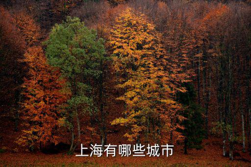 上海有哪些城市