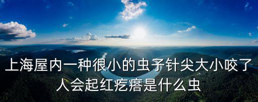 上海屋內(nèi)一種很小的蟲子針尖大小咬了人會起紅疙瘩是什么蟲