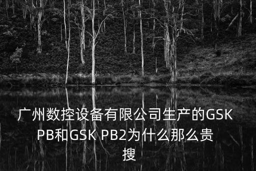 廣州數控設備有限公司生產的GSK PB和GSK PB2為什么那么貴  搜