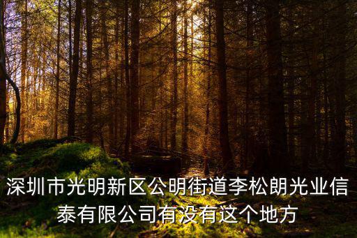 深圳市光明新區(qū)公明街道李松朗光業(yè)信泰有限公司有沒有這個地方