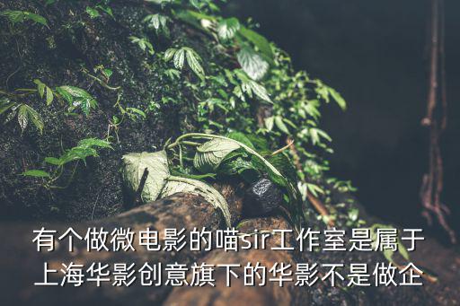 有個做微電影的喵sir工作室是屬于上海華影創意旗下的華影不是做企