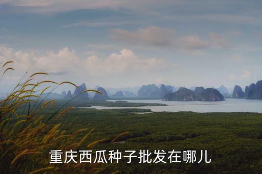 重慶市種業(yè)公司，重慶市種子公司在什么地方