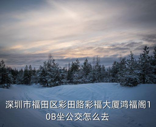 深圳市福田區(qū)彩田路彩福大廈鴻福閣10B坐公交怎么去