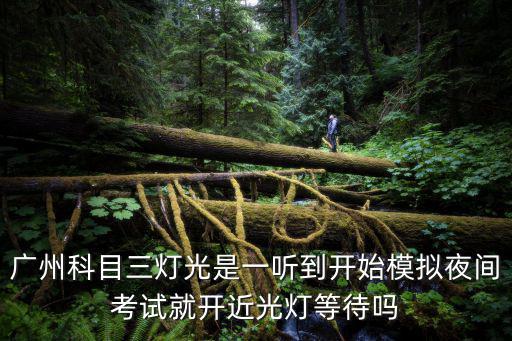 廣州科目三燈光是一聽到開始模擬夜間考試就開近光燈等待嗎