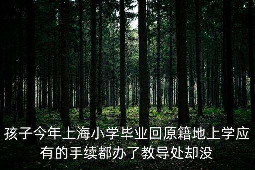 孩子今年上海小學畢業回原籍地上學應有的手續都辦了教導處卻沒