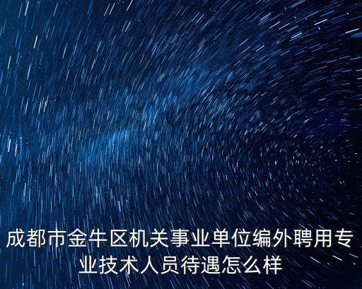 成都市金牛區機關事業單位編外聘用專業技術人員待遇怎么樣