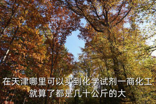 在天津哪里可以買到化學(xué)試劑一商化工就算了都是幾十公斤的大