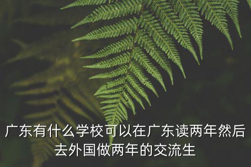 廣東有什么學?？梢栽趶V東讀兩年然后去外國做兩年的交流生