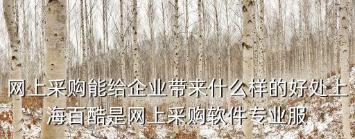 上海市新一屆政府網，上海市政府采購網投網上投標辦理CA數字證書以后要怎么投標啊