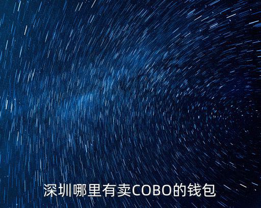 深圳哪里有賣COBO的錢包