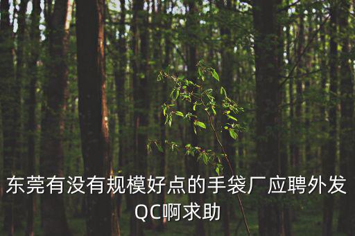 東莞有沒(méi)有規(guī)模好點(diǎn)的手袋廠應(yīng)聘外發(fā)QC啊求助