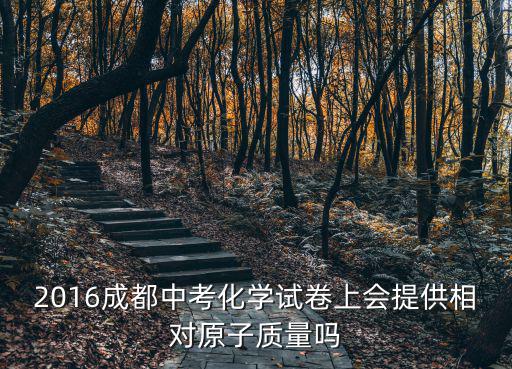 2016成都中考化學試卷上會提供相對原子質量嗎
