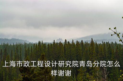 上海市政設計院青島，上海市政青島分院待遇怎么樣不知發展空間怎么樣
