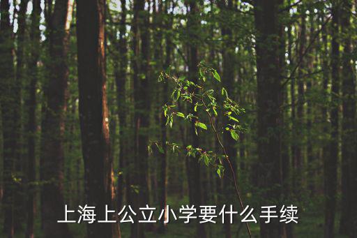 上海上公立小學要什么手續