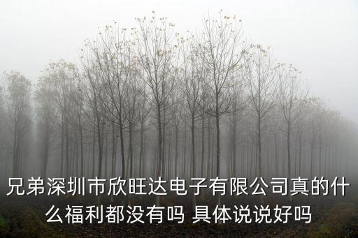 兄弟深圳市欣旺達電子有限公司真的什么福利都沒有嗎 具體說說好嗎