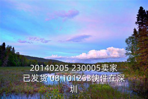 20140205 230005賣家已發貨 08 101253快件在深圳