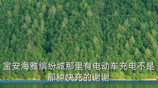 寶安海雅繽紛城那里有電動車充電不是那種快充的謝謝