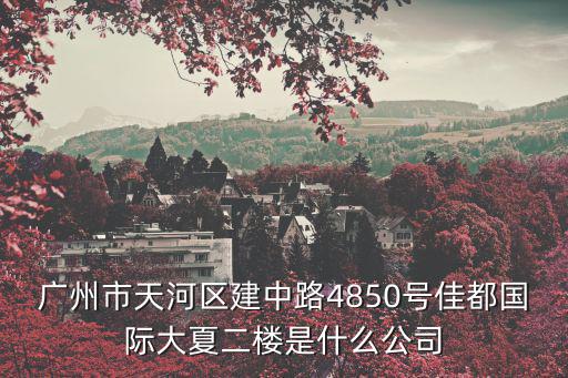 廣州佳飾界化工科技有限公司，廣州代替羥丙基的鐘情牌膠粉用哪家的