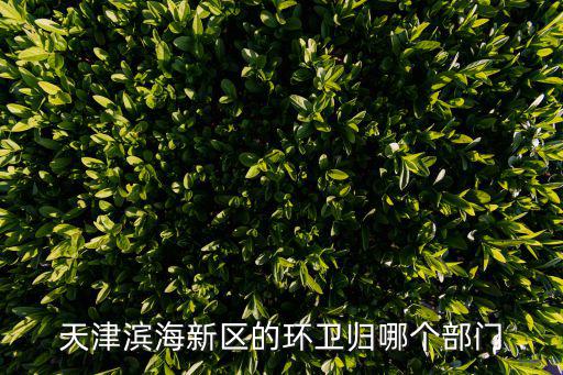 天津濱海新區的環衛歸哪個部門