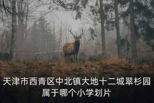 天津市西青區中北鎮大地十二城翠杉園屬于哪個小學劃片