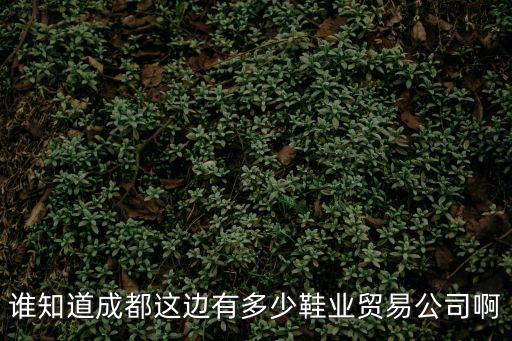 誰知道成都這邊有多少鞋業貿易公司啊