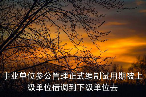 事業單位參公管理正式編制試用期被上級單位借調到下級單位去