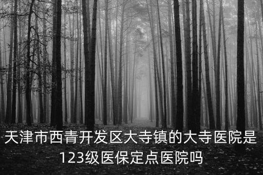 天津市西青開發(fā)區(qū)大寺鎮(zhèn)的大寺醫(yī)院是123級醫(yī)保定點醫(yī)院嗎
