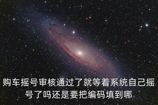 天津市小客車指標管理系統，天津汽車搖號開始后多久就可以查詢了