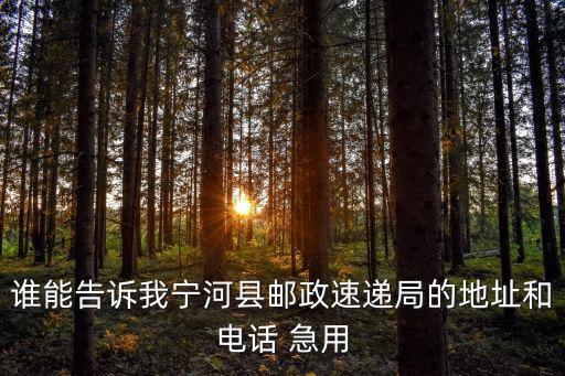 天津市寧河區村級換屆舉報電話，天津市寧河縣電話號碼的區號是多少