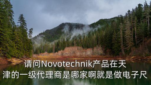請問Novotechnik產品在天津的一級代理商是哪家啊就是做電子尺