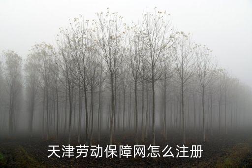 天津勞動(dòng)保障網(wǎng)怎么注冊(cè)